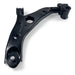Control Arm - CA1029L