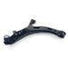 Control Arm - CA1071L