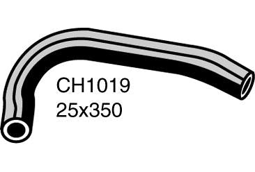 Radiator Lower - CH1019