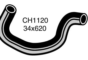 Radiator Lower - CH1120