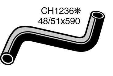 Radiator Lower - CH1236