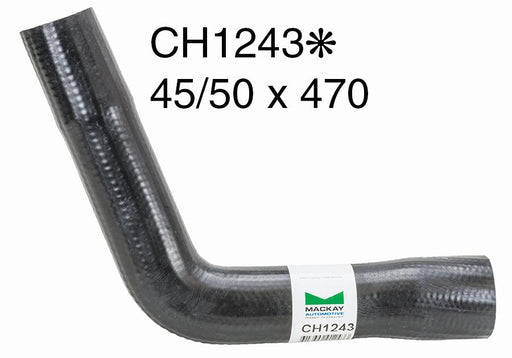 Radiator Lower - CH1243