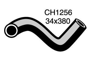 Radiator Lower - CH1256