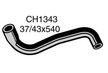 Radiator Lower - CH1343