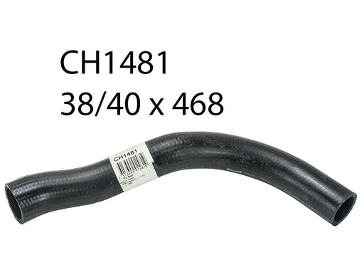 Radiator Lower - CH1481