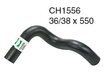 Radiator Lower - CH1556