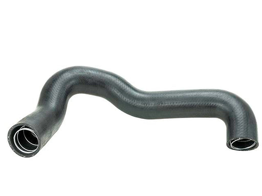 Radiator Lower - CH1590