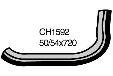 Radiator Lower - CH1592