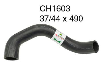 Radiator Lower - CH1603