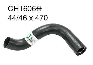 Radiator Lower - CH1606