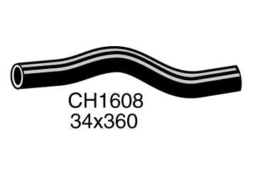 Radiator Lower - CH1608