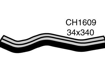 Radiator Lower - CH1609