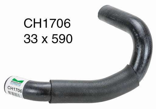 Radiator Lower - CH1706