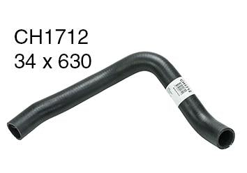 Radiator Lower - CH1712