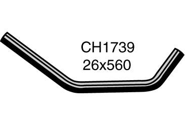 Radiator Lower - CH1739
