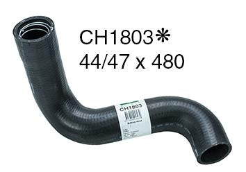 Radiator Lower - CH1803