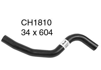 Radiator Lower - CH1810