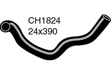 Radiator Lower - CH1824