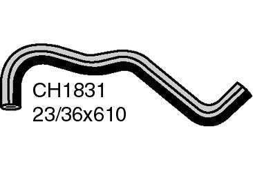 Radiator Lower - CH1831