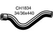 Radiator Lower - CH1834