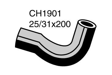 Radiator Lower - CH1901