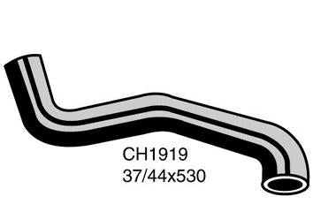Radiator Lower - CH1919