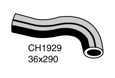 Radiator Lower - CH1929