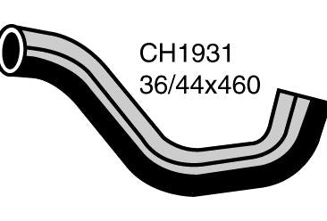 Radiator Lower - CH1931