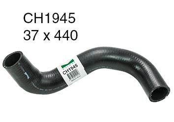 Radiator Lower - CH1945