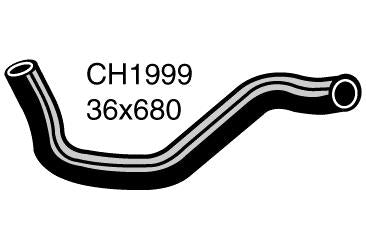 Radiator Lower - CH1999
