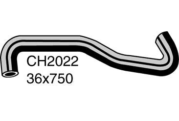 Radiator Lower - CH2022