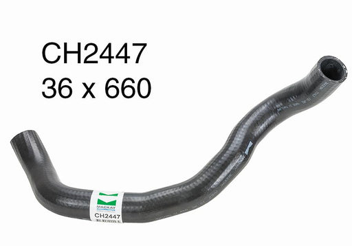 Radiator Lower - CH2447