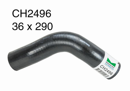 Radiator Lower - CH2496