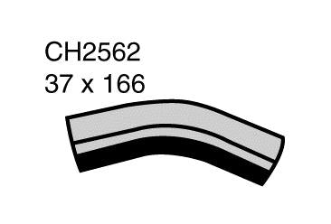 Radiator Lower - CH2562