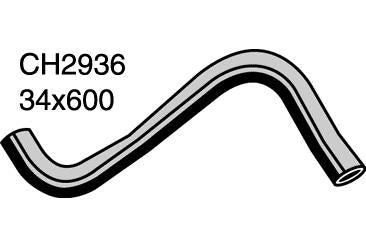 Radiator Lower - CH2936