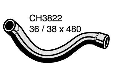 Radiator Lower - CH3822