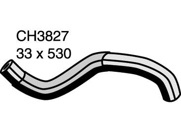 Radiator Lower - CH3827