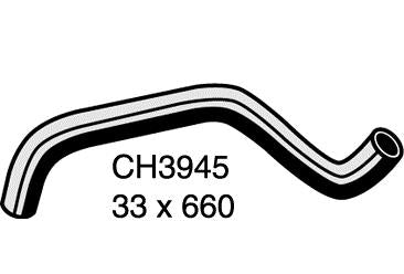Radiator Lower - CH3945