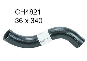 Radiator Lower - CH4821