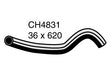 Radiator Lower - CH4831