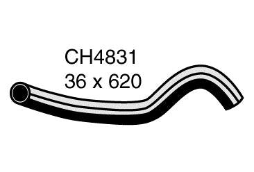 Radiator Lower - CH4831