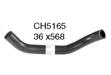 Bottom Hose - CH5165