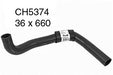 Radiator Lower - CH5374