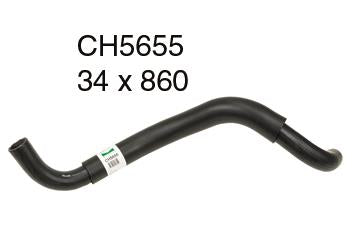 Radiator Lower - CH5655