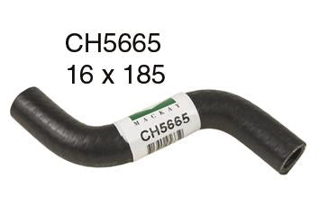 Heater Hose - CH5665
