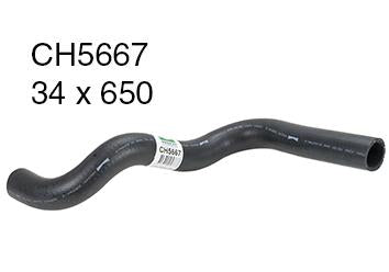 Radiator Lower - CH5667