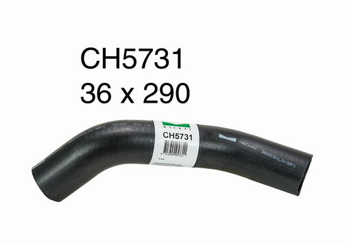 Radiator Lower - CH5731