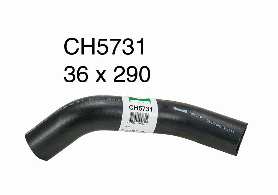 Radiator Lower - CH5731