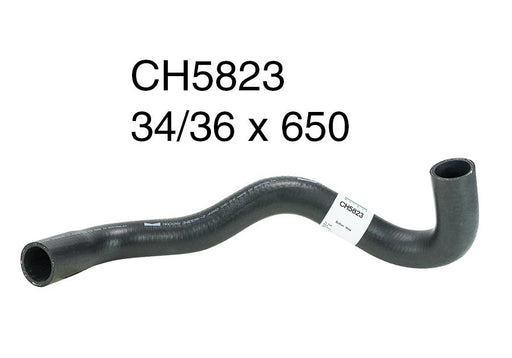 Radiator Lower - CH5823