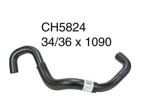 Radiator Lower - CH5824
